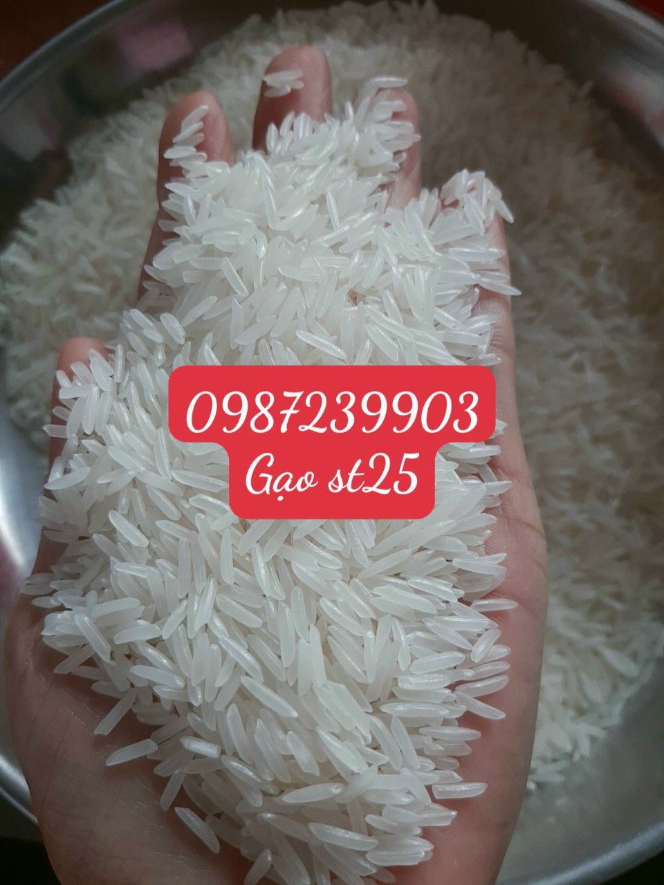 Gạo ST25 thuần 100% từ giống gạo đặc sản Sóc Trăng