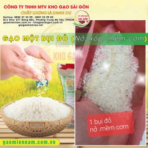 GẠO MỘT BỤI ĐỎ – Đặc Sản Bạc Liêu