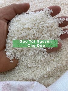 Gạo Tài Nguyên Chợ Đào