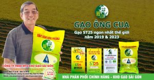 Nhà phân phối gạo ST25 Ông Cua chính hãng sỉ và lẻ giá tốt