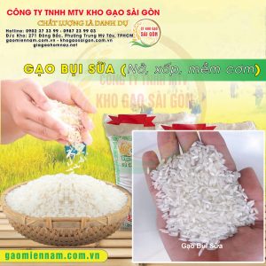 Gạo Bụi Sữa