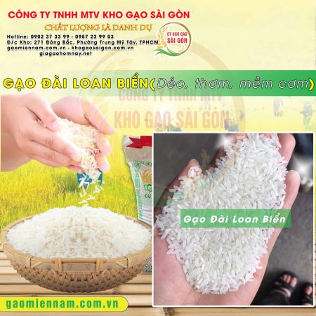 Gạo Đài Loan Biển