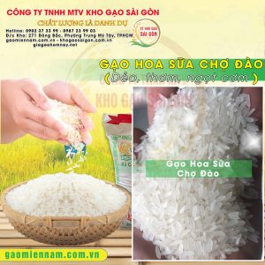 Gạo Hoa Sữa Chợ Đào - Đặc sản Long An
