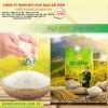 Gạo ST25 ngon nhất thế giới