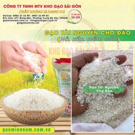 Gạo Tài Nguyên Chợ Đào : Nở Xốp Khô Cơm