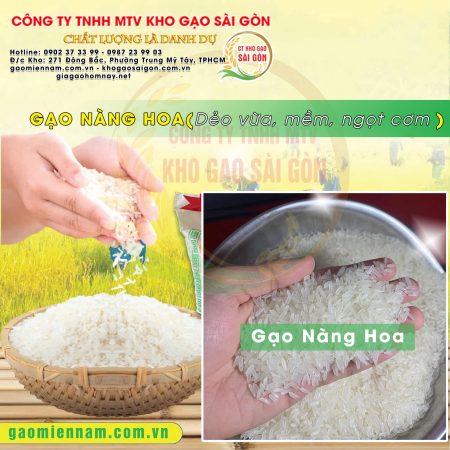 Gạo Nàng Hoa Chợ Đào - Đặc sản Long An