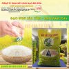 Gạo Ông Cua ST25 Lúa Tôm (túi 5kg)