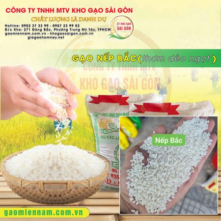 Gạo Nếp Bắc