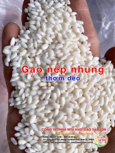 Gạo nếp nhung (nếp đồi)