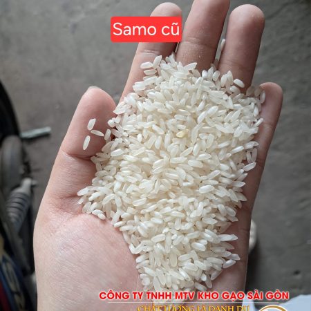 Gạo Sa Mơ