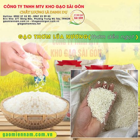 Gạo thơm lúa nương