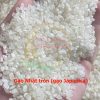 Gạo Nhật tròn Japonica